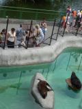 05.07.12-  058.jpg